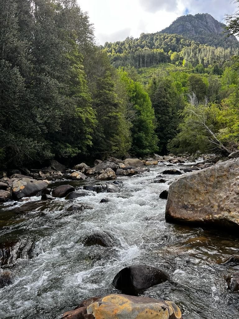 Río Codihue